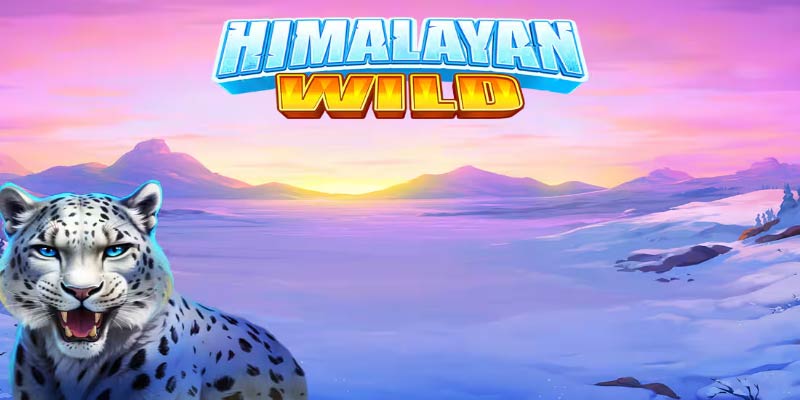 Himalayan Wild Slot: Ultimate Guide to Features & Gameplay